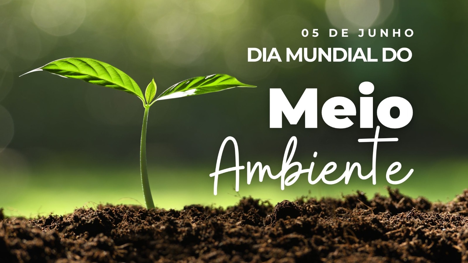 PEQUENAS ATITUDES QUE FAZEM A DIFERENÇA PARA O MEIO AMBIENTE